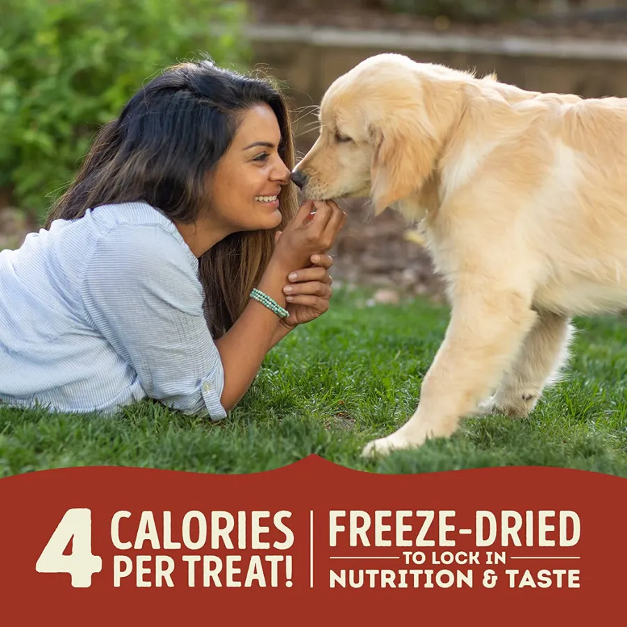 Acana Singles Freeze-Dried Beef & Pumpkin Dog Treats