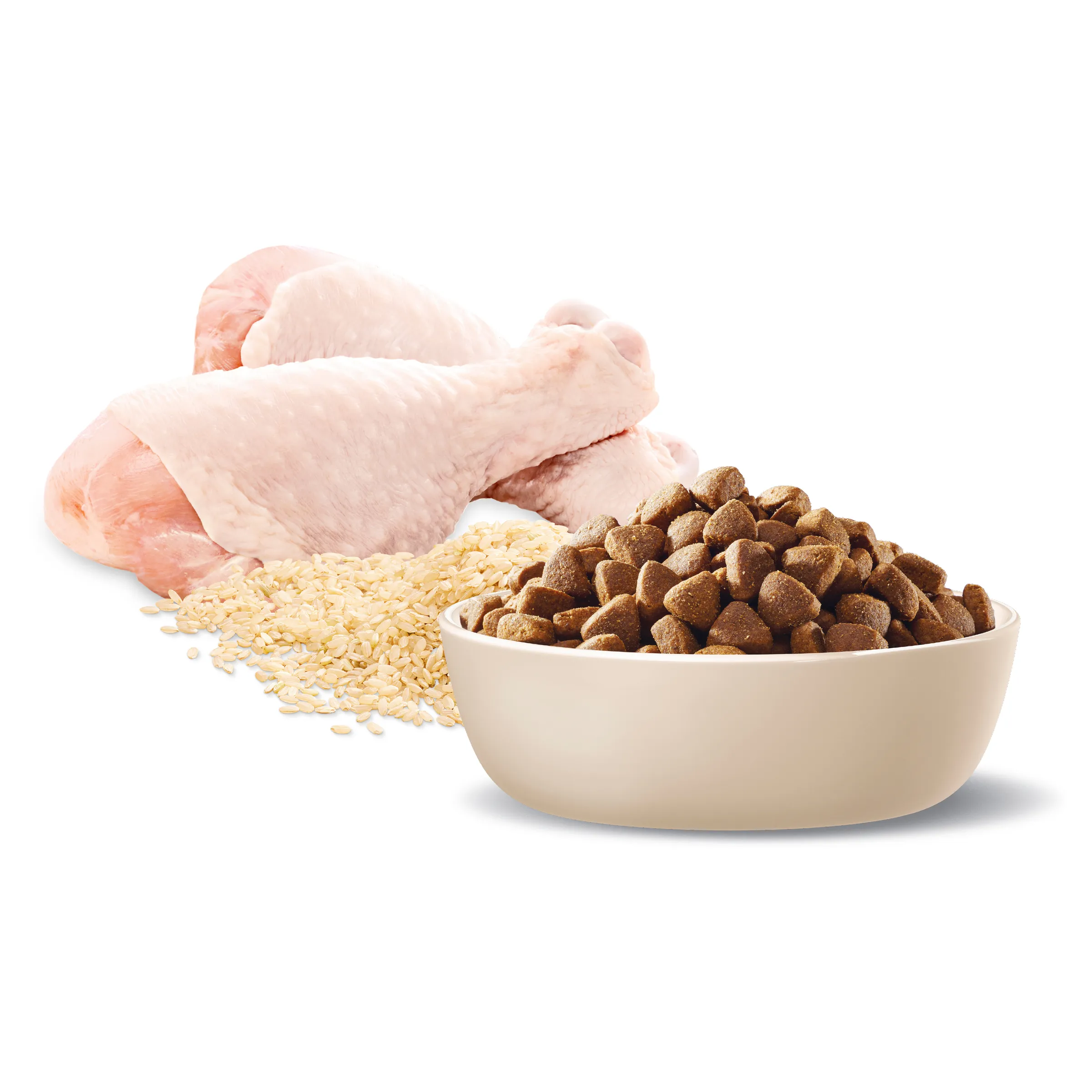 Advance Chicken and Rice Healthy Ageing Medium Breed Dry Dog Food