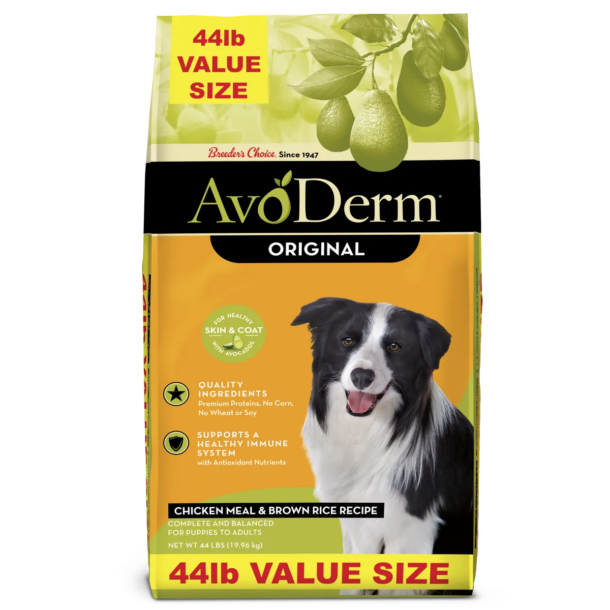 AvoDerm Chicken Meal & Brown Rice Formula Dog Food 44lb