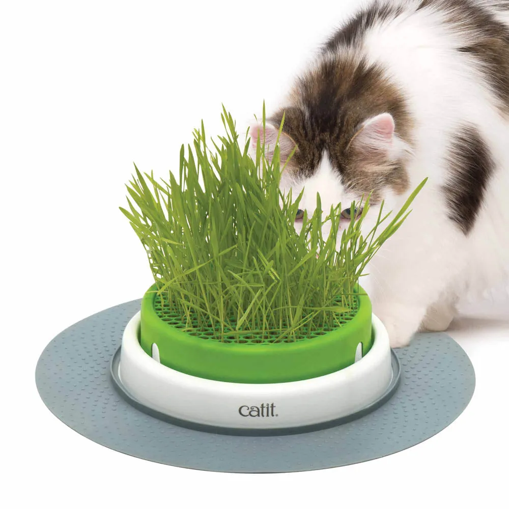 Catit 2.0 Senses Grass Planter