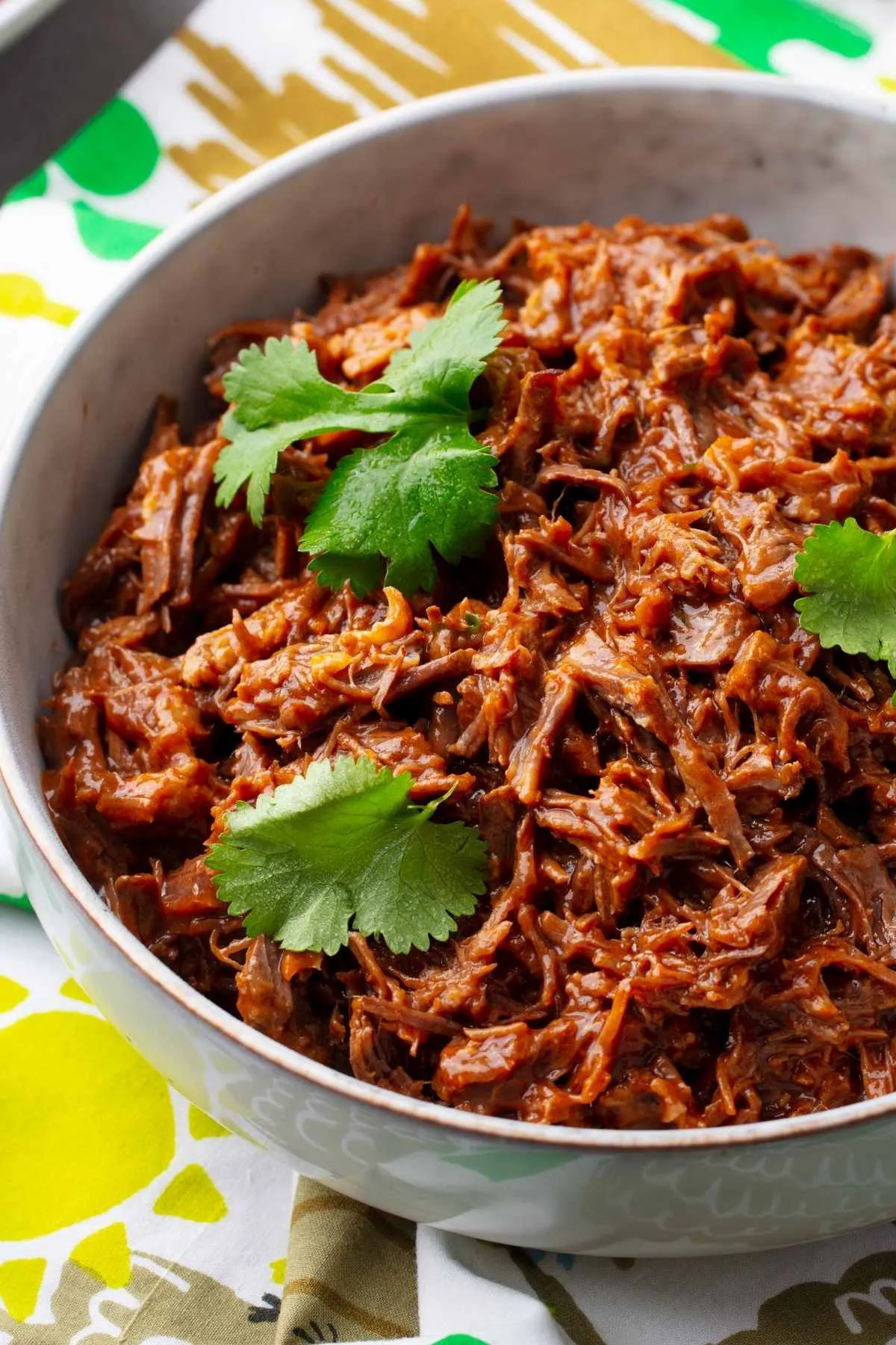 CHATA MACHACHA DE RES (SHREDDED BEEF)