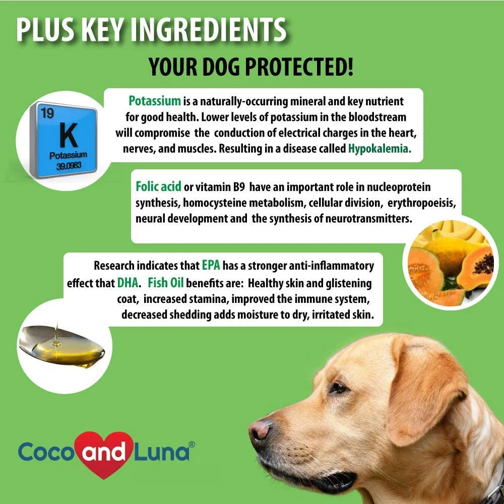 Coco and Luna Milk Thistle for Dogs, Liver Support for Dogs, Detox, Hepatic Support, Promotes Liver Healthy Function for Pets, VIT B1, B2, B6, B12