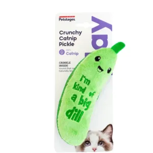 Crunchy Pickle Dental Toy