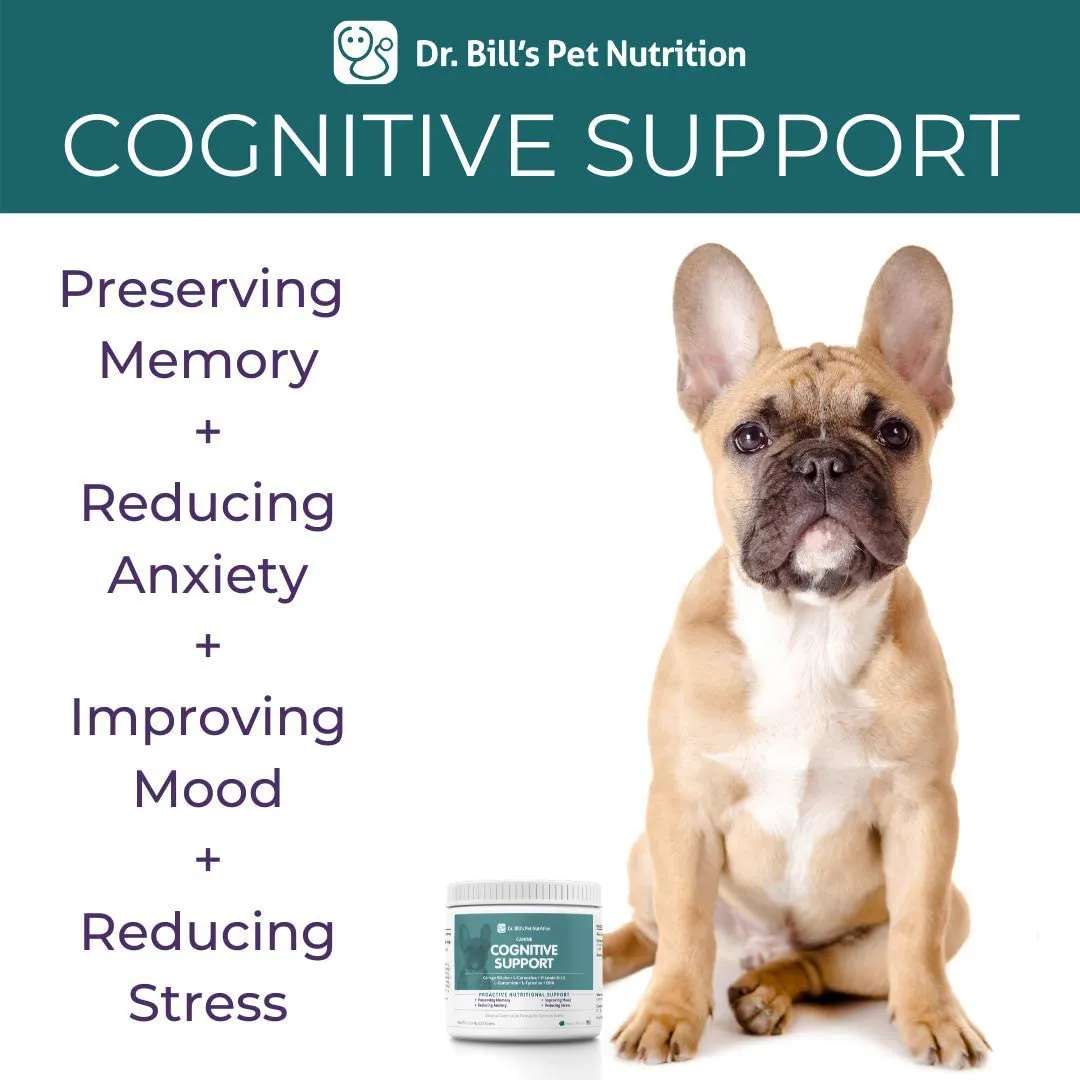 Dr. Bill’s Canine Cognitive Support | Pet Supplement | Memory Support Supplement for Dogs | Contains Gingko Biloba, L-Carnosine, Vitamin B-12, L-Glutamine, L-Tyrosine, and DHA