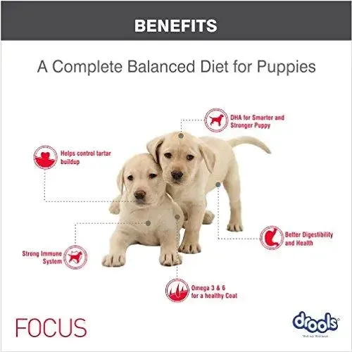 Drools Focus Puppy Super Premium Dog Food, 12kg