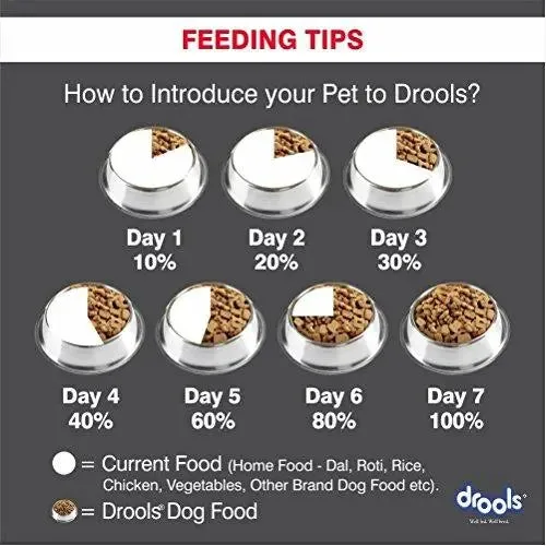 Drools Focus Puppy Super Premium Dog Food, 12kg