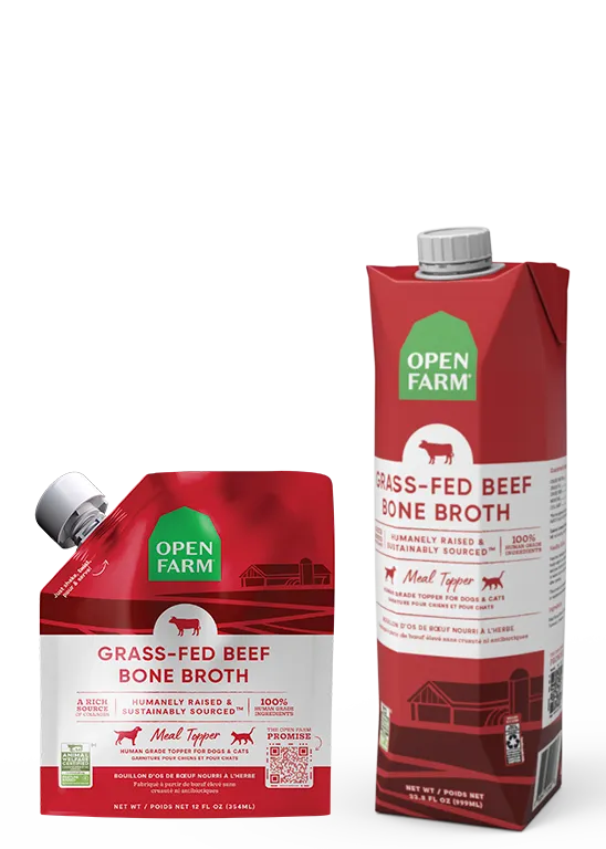 Grass-Fed Beef Bone Broth For Cats