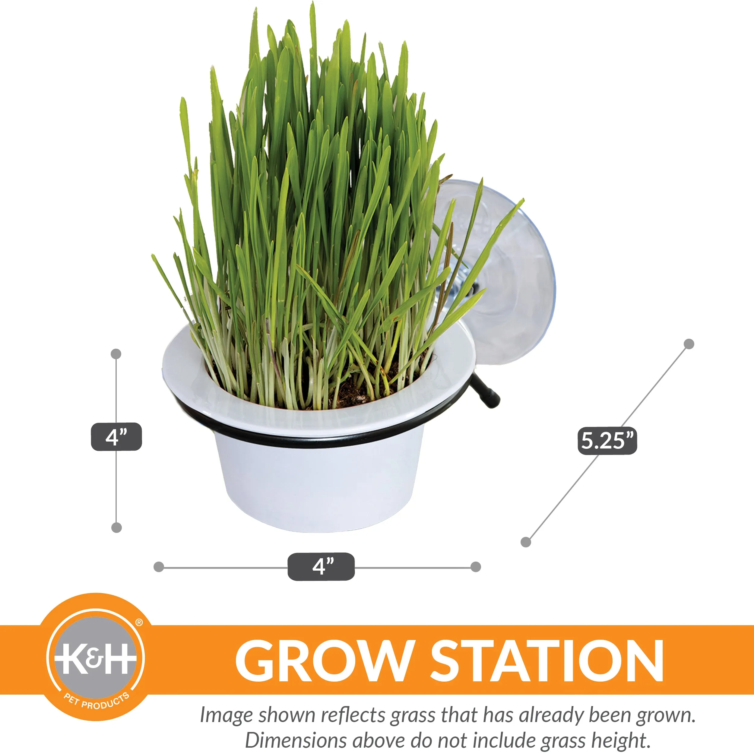 K&H EZ Mount Window Cat Grass Grow Station