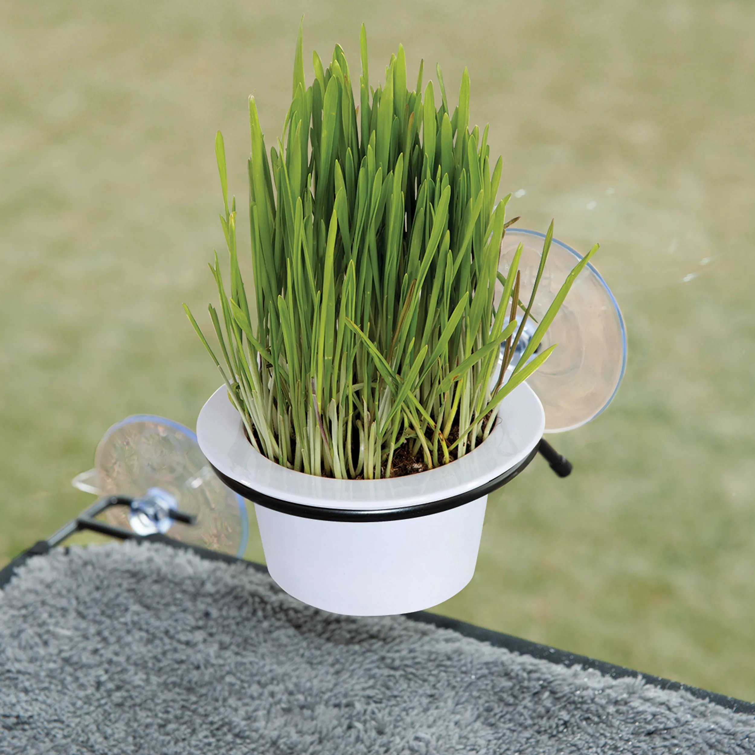 K&H EZ Mount Window Cat Grass Grow Station