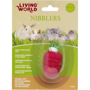 Living World Wood Loofah Strawberry