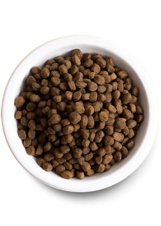 New Zealand Venison Grain-Free Dry Dog Food