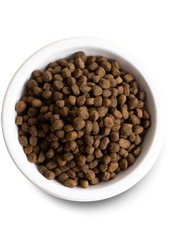 Open Farm - Grain Free New Zealand Venison - Dry Dog Food