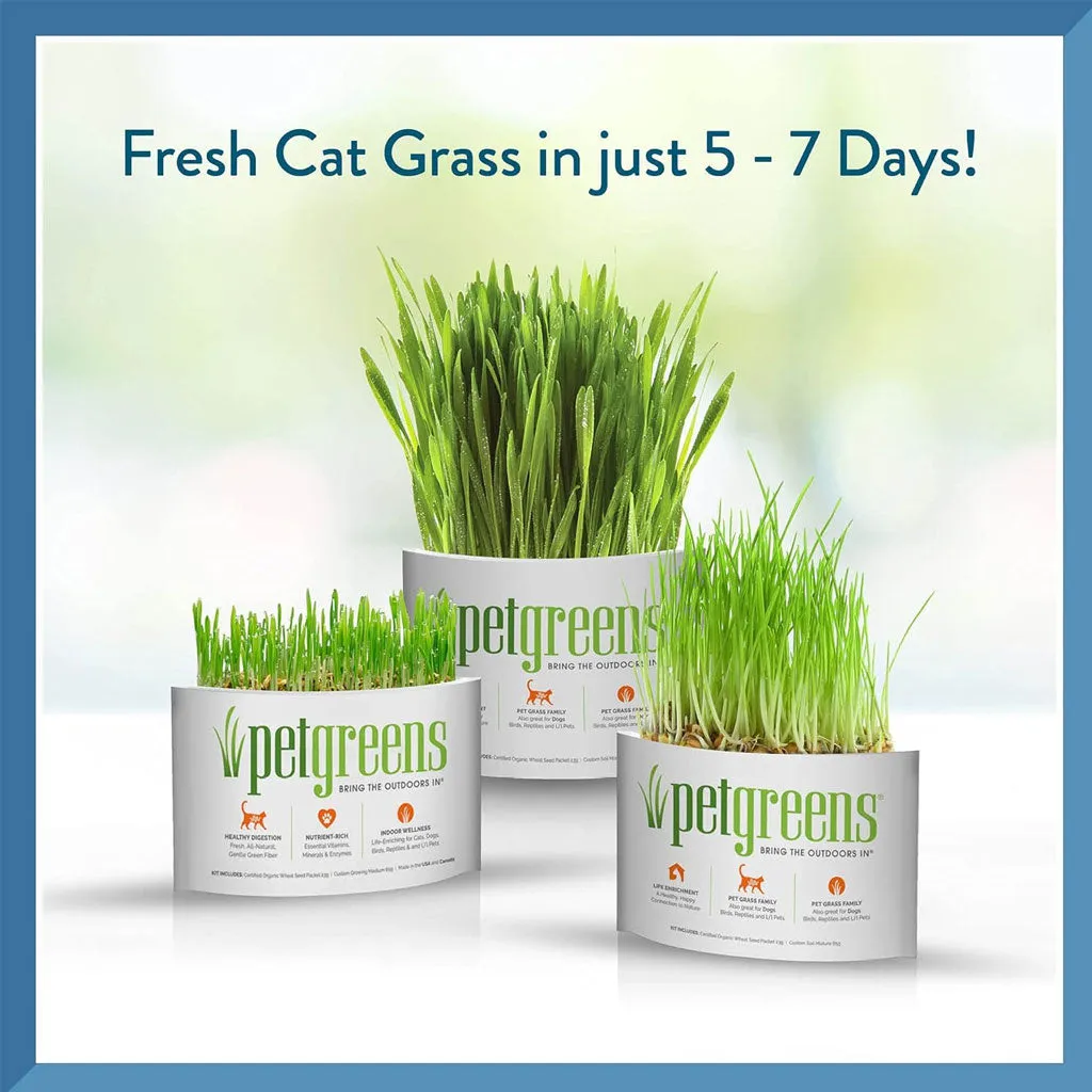 Pet Greens Garden Pet Grass Self-Grow Kit Organic Wheatgrass, 3-oz