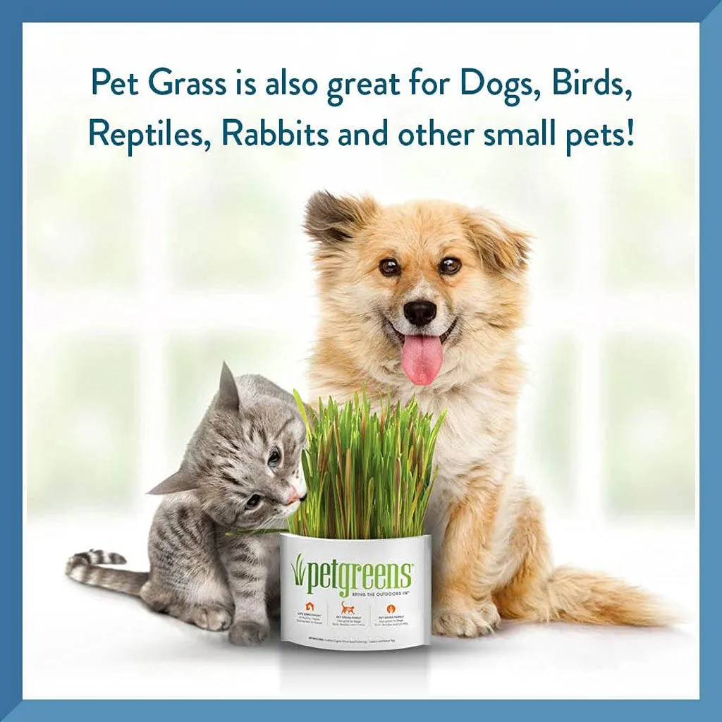 Pet Greens Garden Pet Grass Self-Grow Kit Organic Wheatgrass, 3-oz