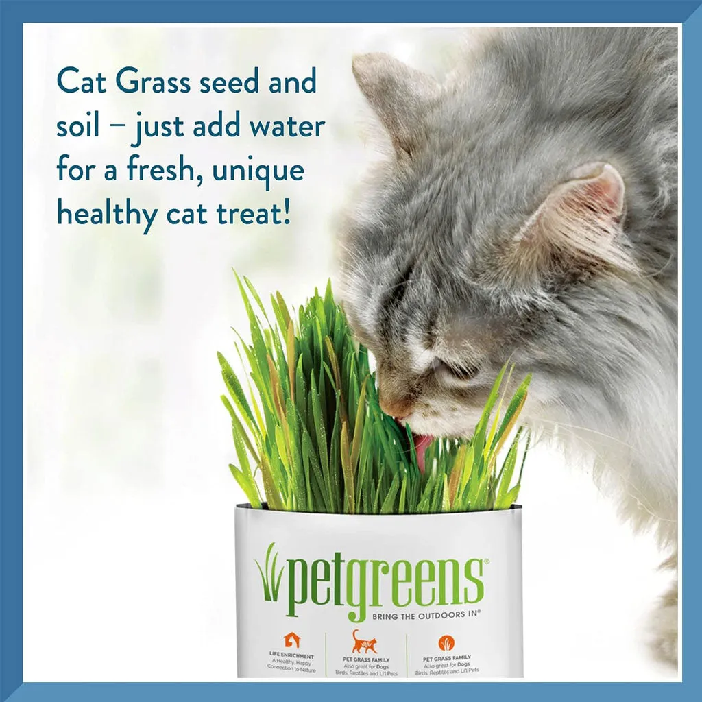 Pet Greens Garden Pet Grass Self-Grow Kit Organic Wheatgrass, 3-oz