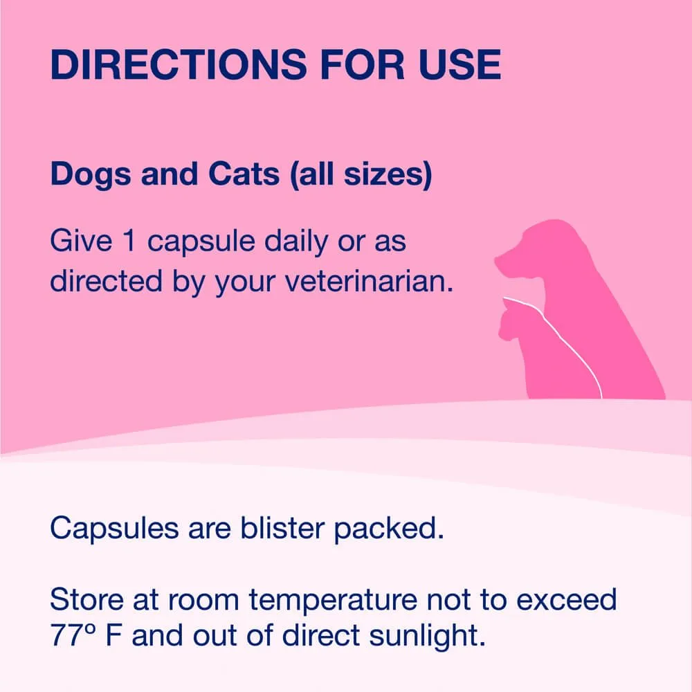 Proviable-DC for Dogs and Cats