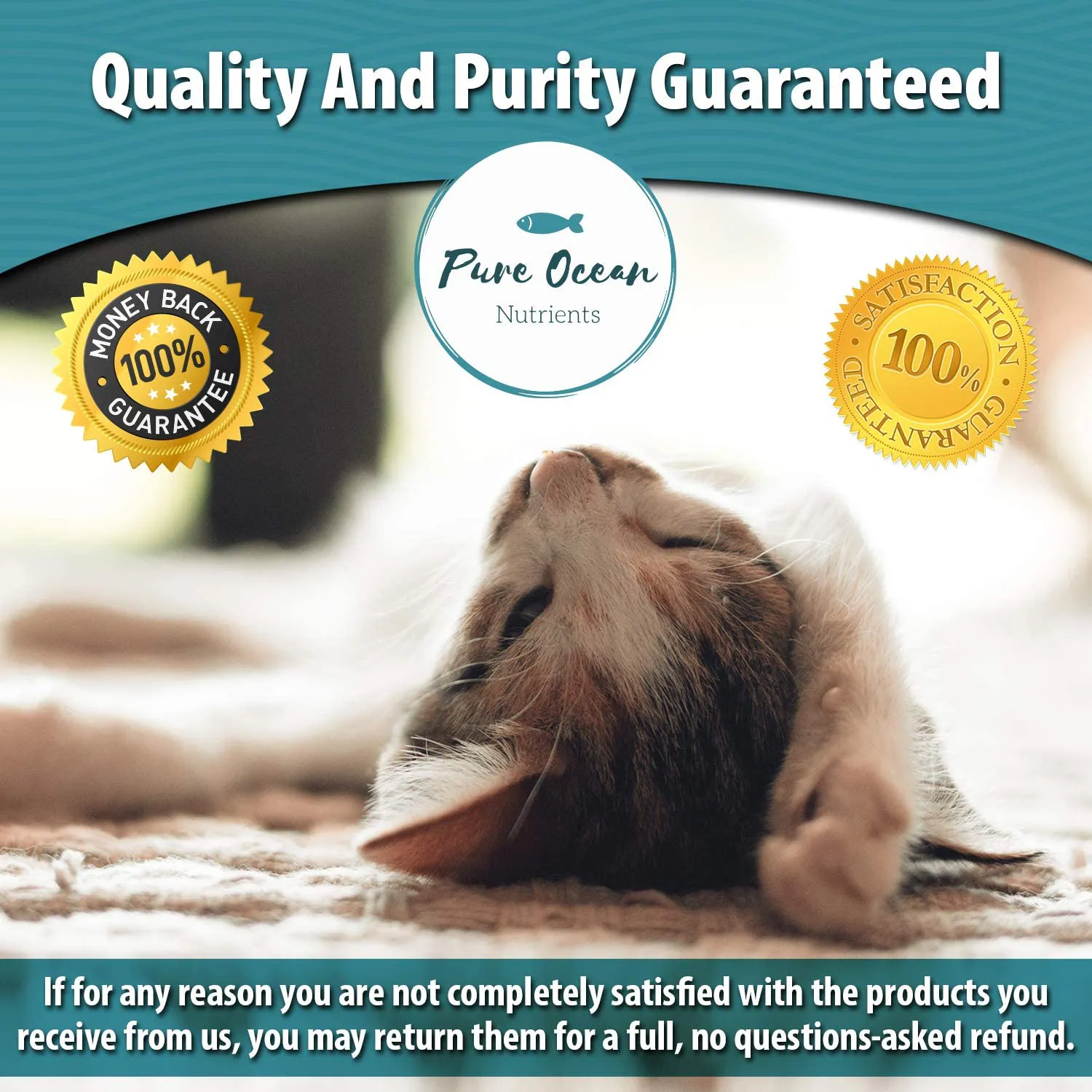 Pure Ocean Nutrients Wild Alaskan Salmon Oil for Dogs and Cats; Natural Supplement with Omega 3's to Support Joint, Heart, and Immune Health; Promotes a Shiny Soft Coat and Healthy Skin