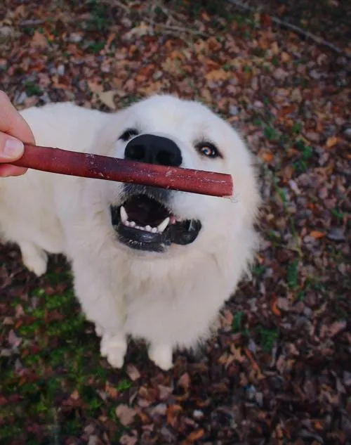 Redbarn Odor-Free Bully Stick Dog Treat, 12in