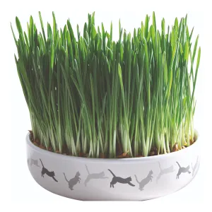 Trixie Ceramic Bowl with Grass for Cats