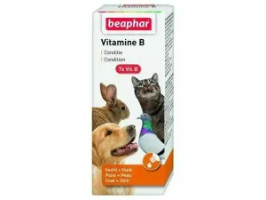 Vitamin B Complex - 50 ml