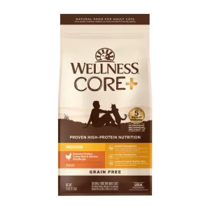 Wellness Cat Core Indoor 5lb